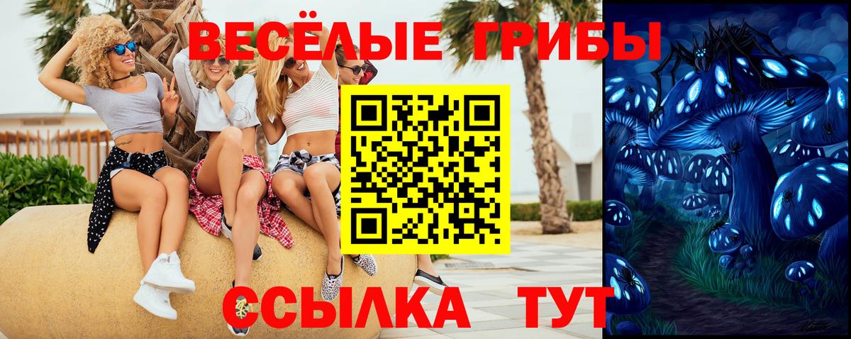 Йошкар-Ола  Галлюциногенные грибы Psilocybe  Вход с VPN 